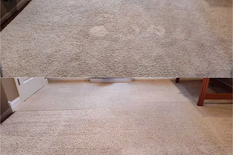 Before After Carpet Cleaning 3 by Haugland Brothers