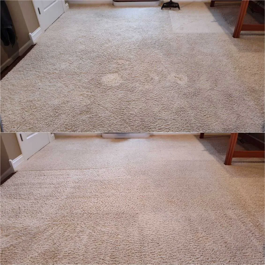 Before After Carpet Cleaning 3 by Haugland Brothers