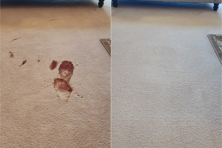 Before After Carpet Cleaning 5 By Haugland Brothers