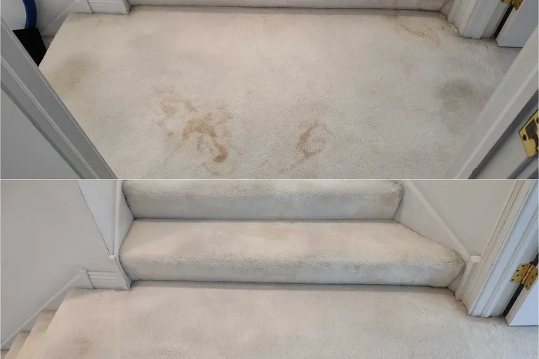 Before After Carpet Cleaning 7 By Haugland Brothers