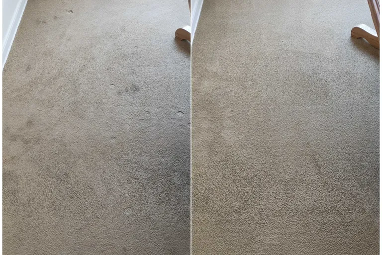 Before After Carpet Cleaning by Haugland Brothers