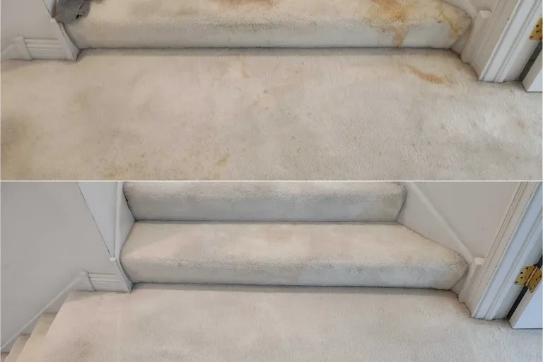 Before After Carpet Cleaning 8 By Haugland Brothers
