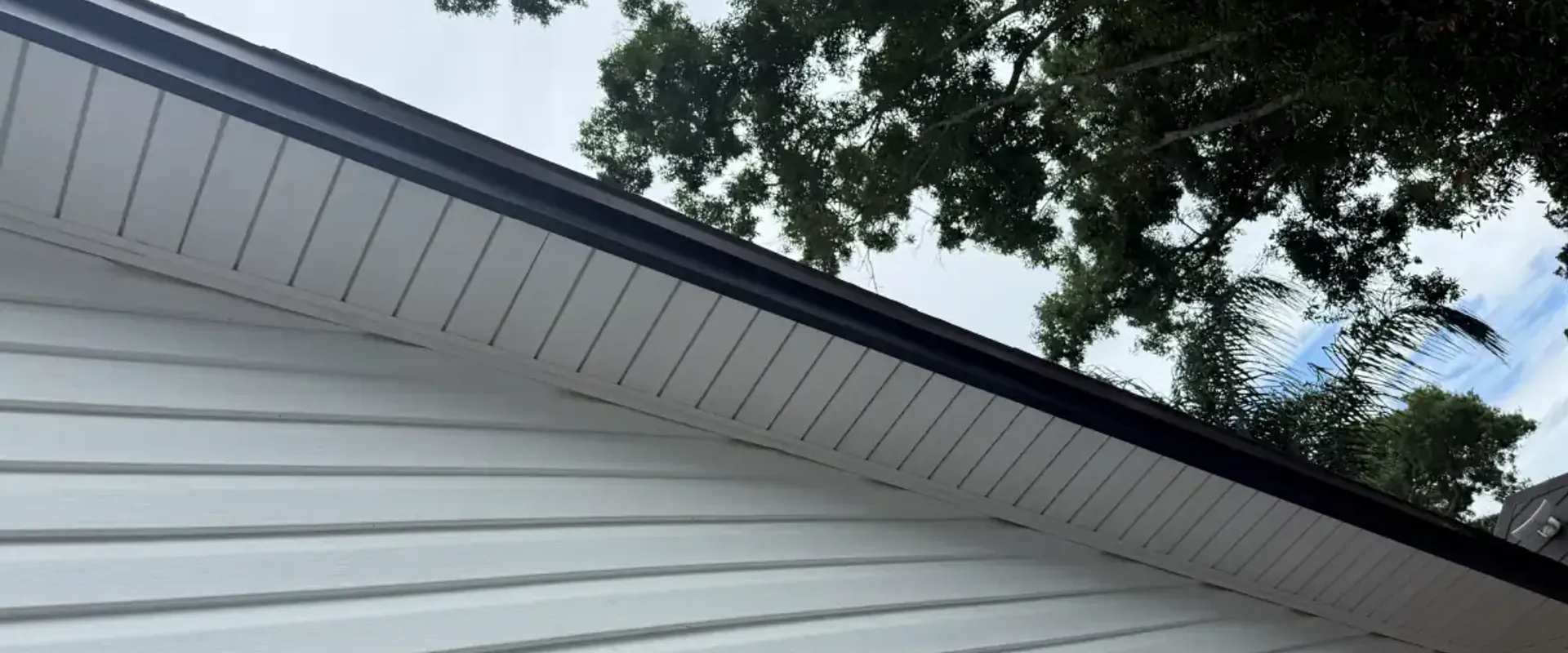 Clean white aluminum soffit and dark fascia along a home eave beneath oak trees in St. Petersburg